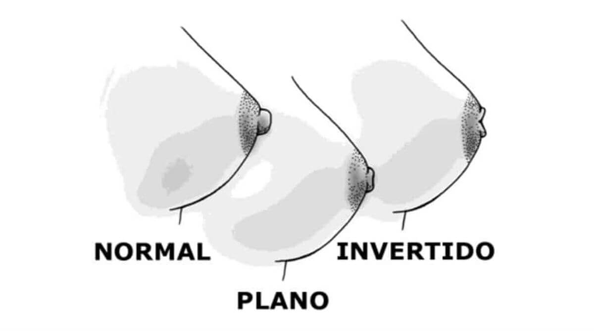 A picture containing animal, sitting, table, white

            Description automatically generated